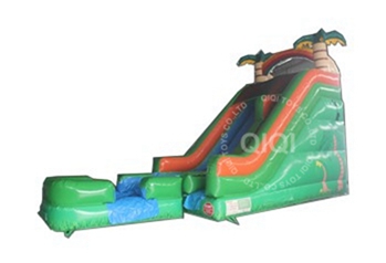 water slide with pool 