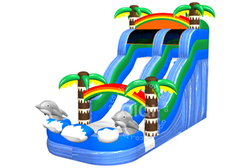 Dolphins coconut trees theme water slide