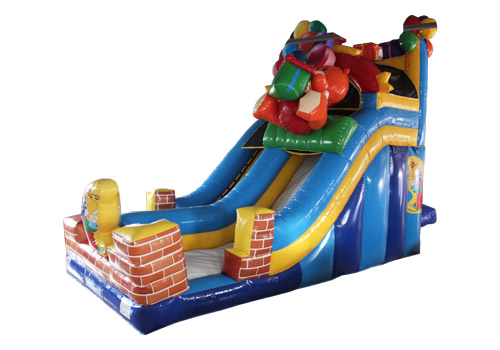 Birthday Party Inflatable Slide