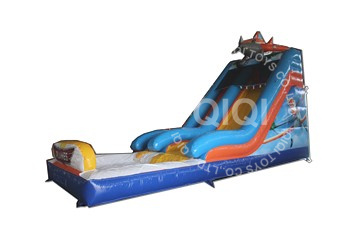 Planes inflatable water slide